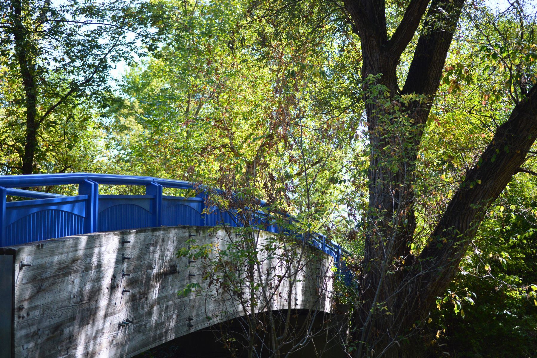 Waldenburg Bridge on the walking path 