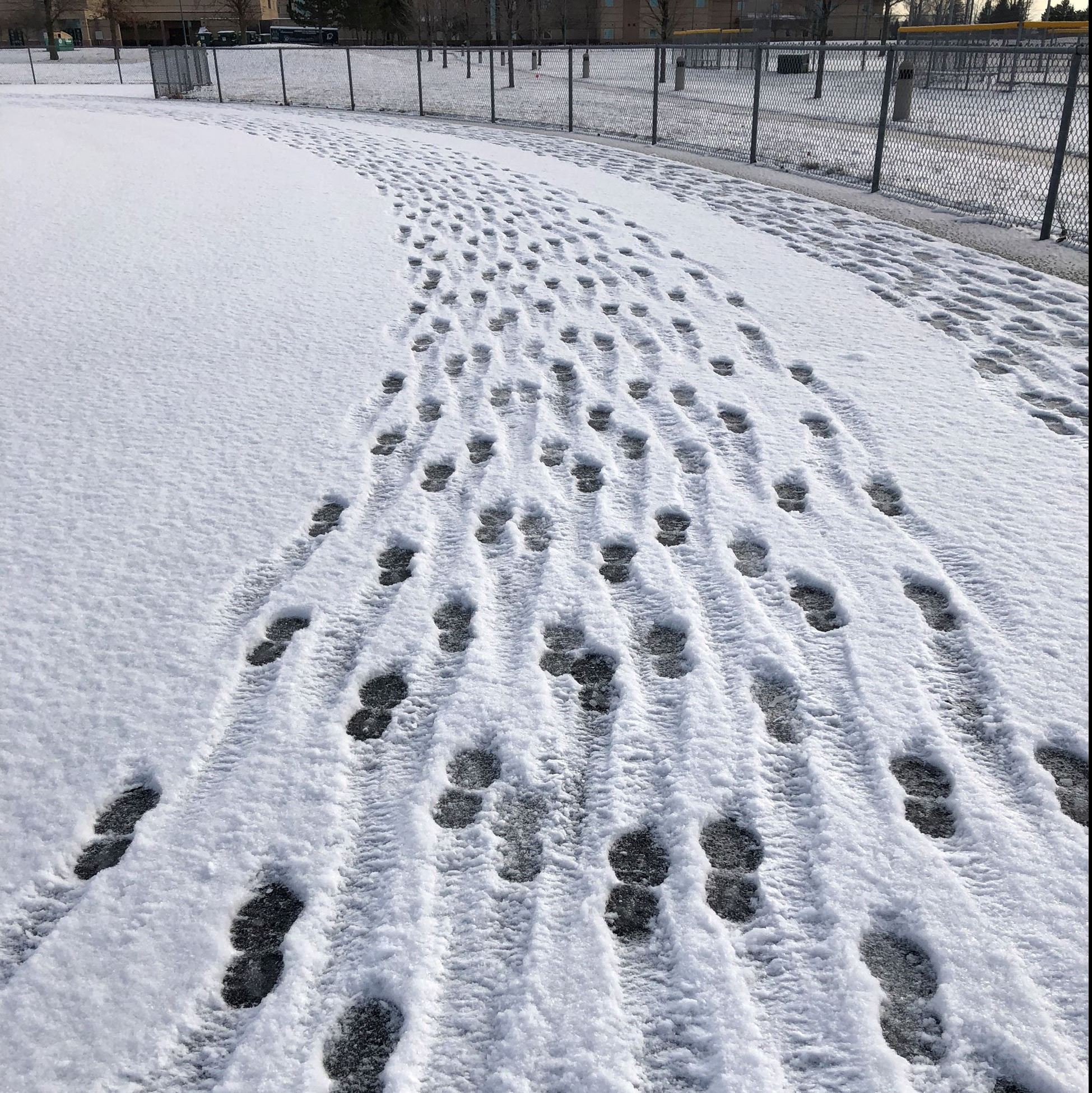 The snow-covered track at Dakota High School captured with footprints left in the crisp white snow.