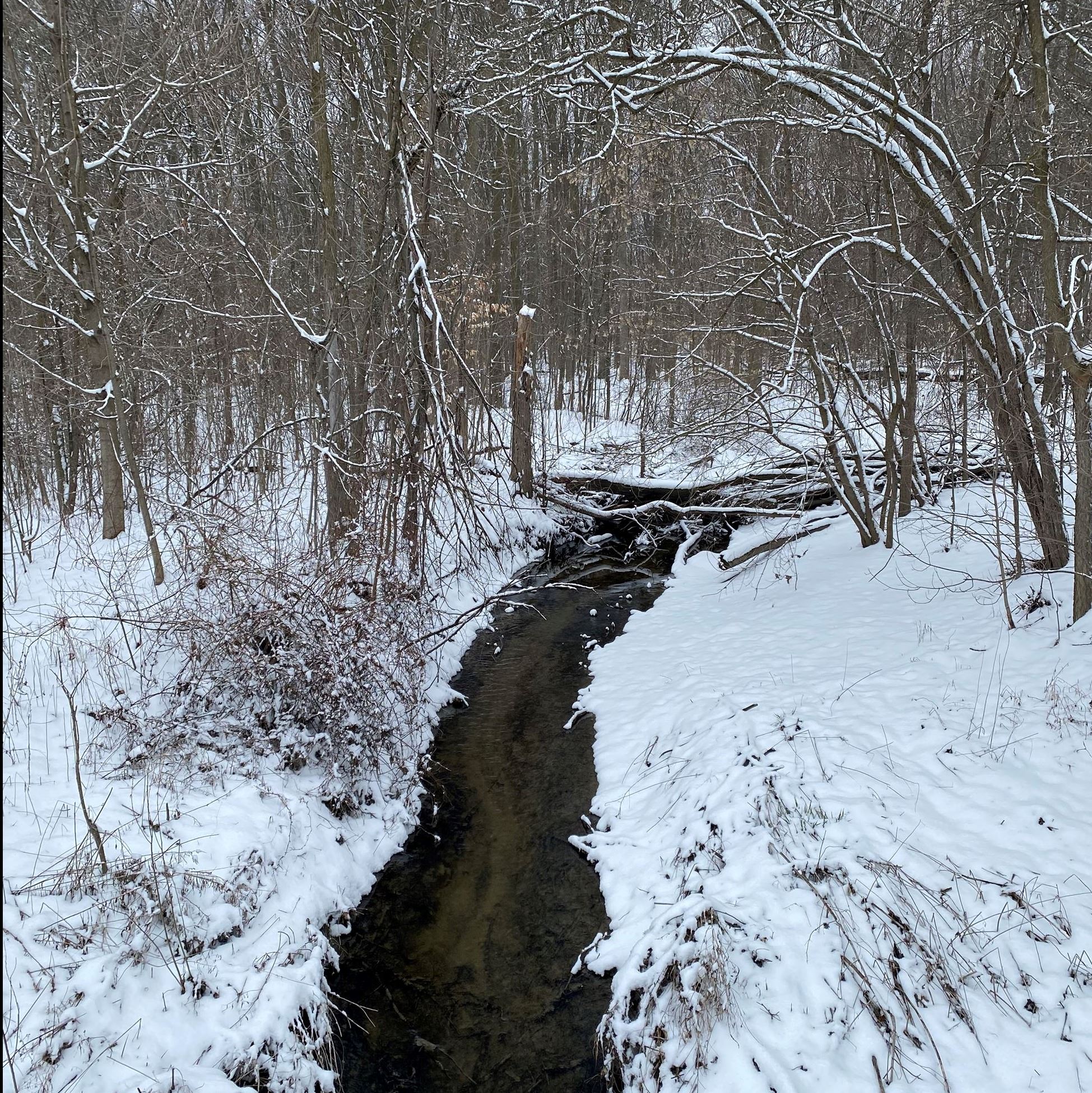 A small stream traveling through the middle of a snow-covered forest landscape. 
