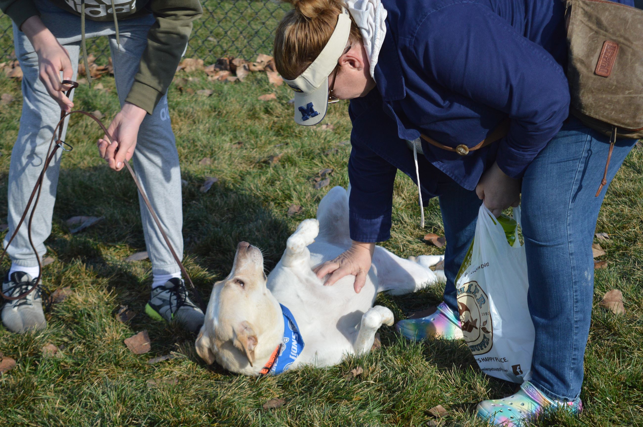 White dog laying on its back getting its belly rubbed by its owner 