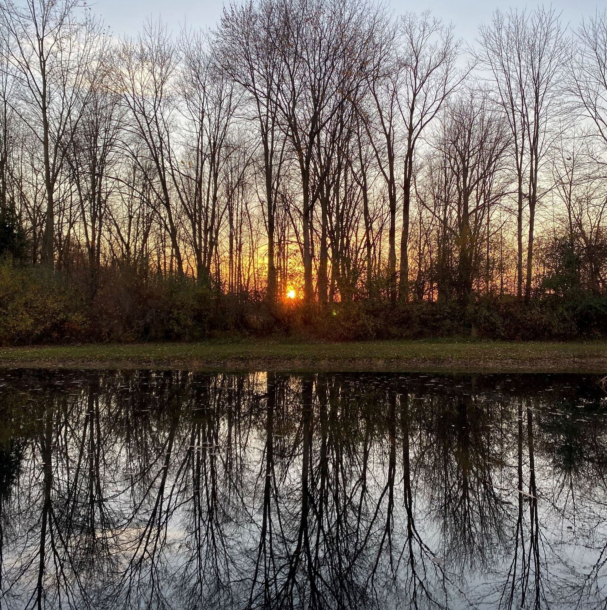 Photo of setting sun shining through empty trees over a large pond, reflecting the trees back.